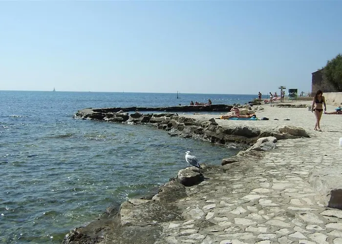 Milan A4, 50 M From The Apartment