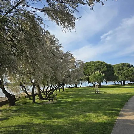 Milan A4, 50 M From The * Novigrad (Istria)